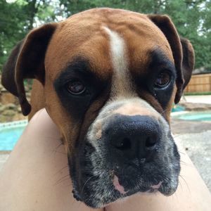 Meet your Posher, Benita